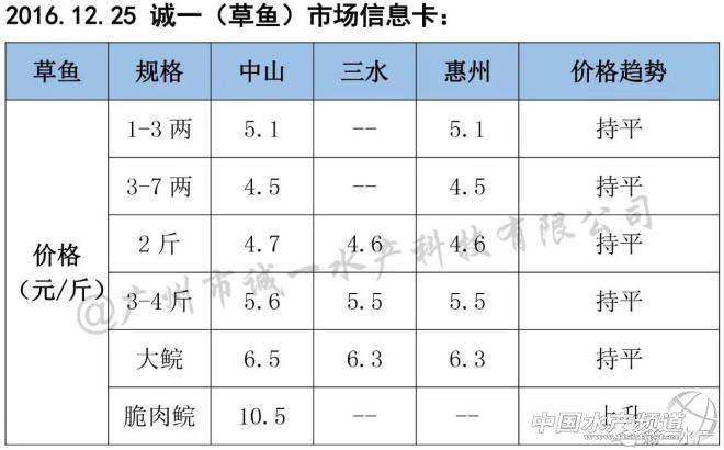 小鱼多少钱(罗非鱼多少钱一只)