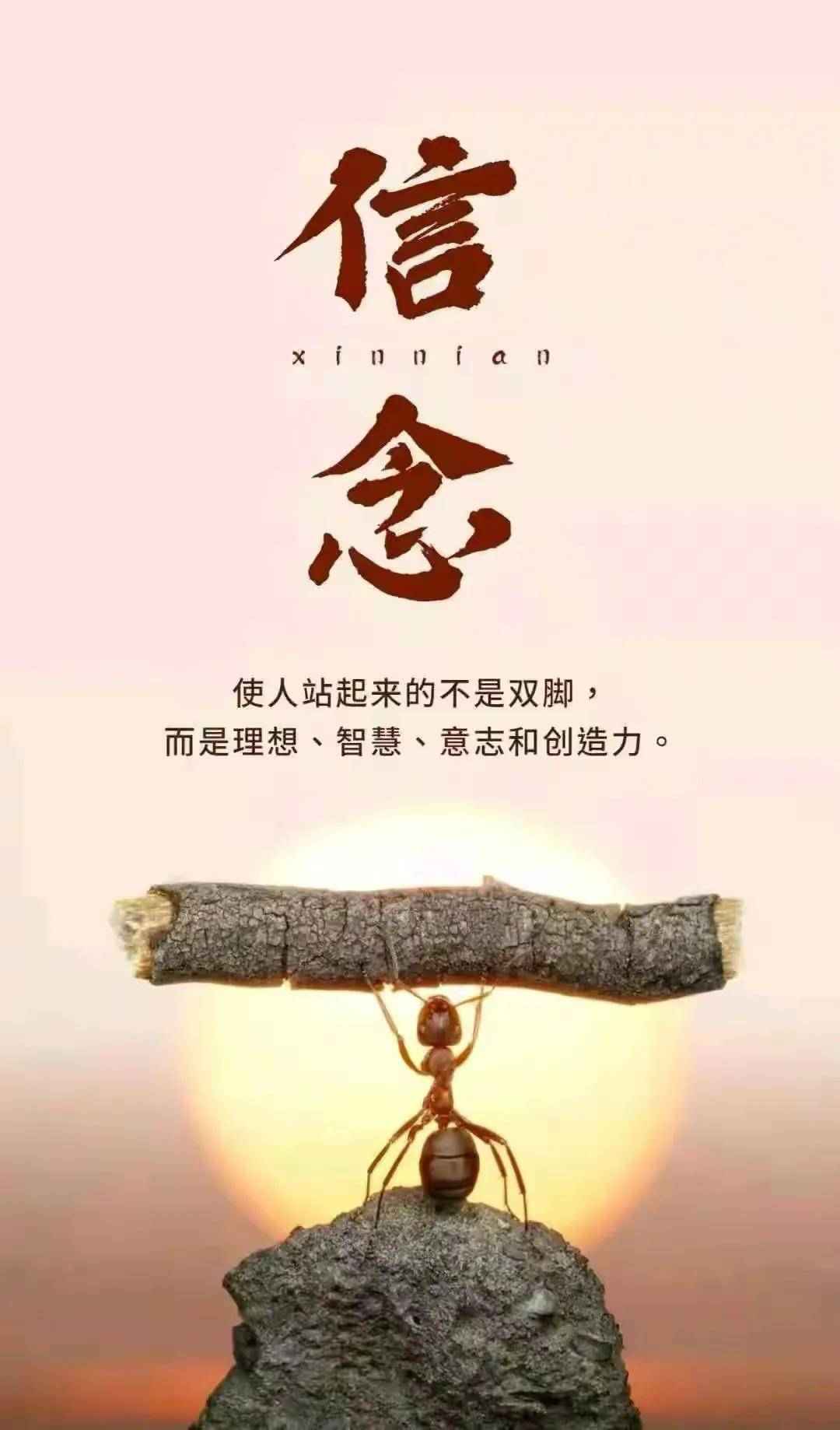 如何认识自我(如何真正的了解自己)