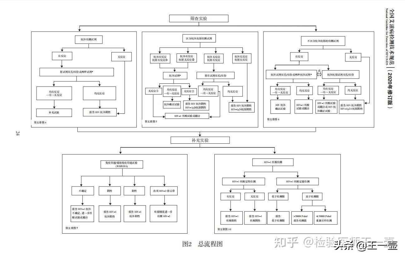 艾滋病怎么检测(艾滋病初期小红点照片)