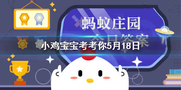 每日支付宝小鸡答题：瘦人会不会得高血脂5月18日答案最新