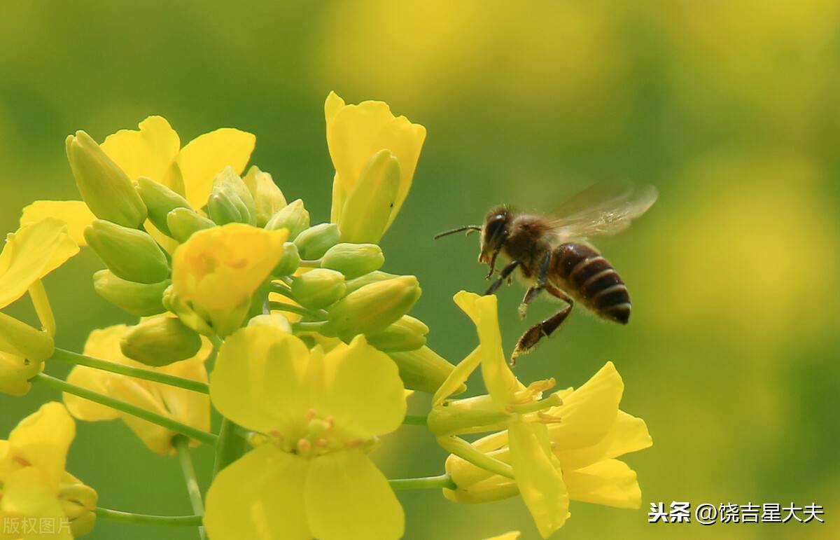 声带受损怎么治疗(声带坏了怎么治)