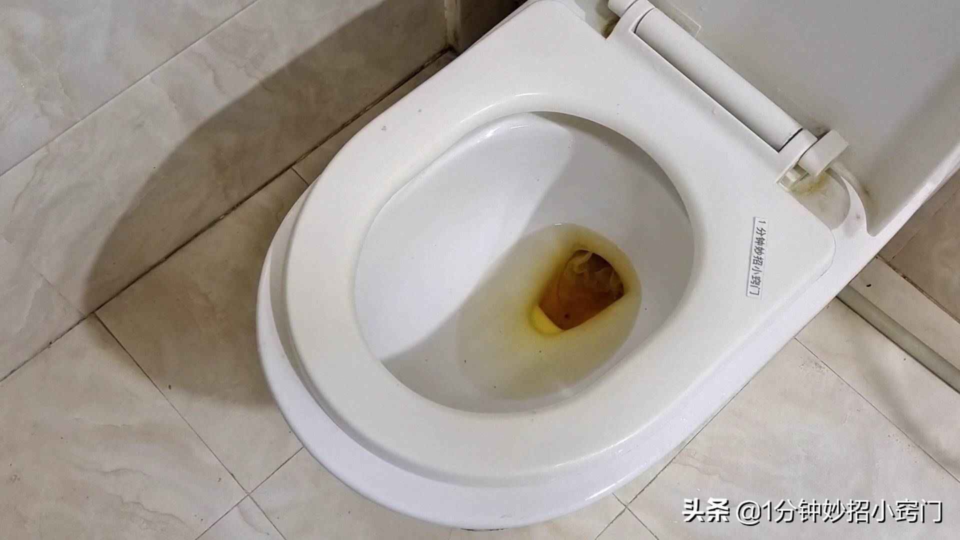 如何通马桶(一分钟教你如何通马桶)