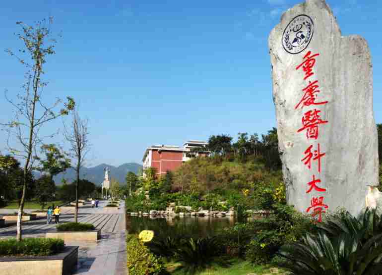 重庆交通大学怎么样(重庆工商大学曾丽)